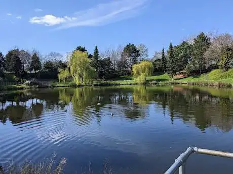 The Big Pond