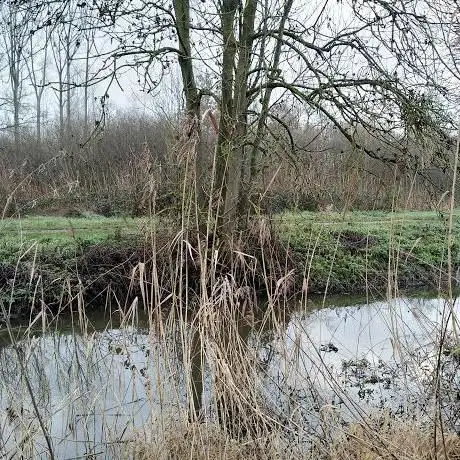 De Zig