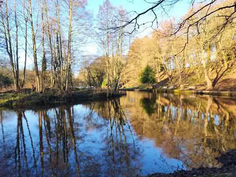 Photo de Forge Dam Park