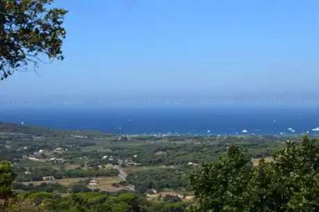 Photo de Les Petits Trains du Golfe
