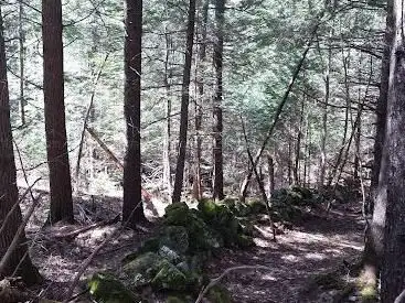 Photo de Cornwall Nature Preserve