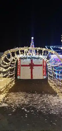 Manor close Christmas display