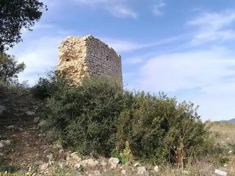 Photo de Tino di Moscona