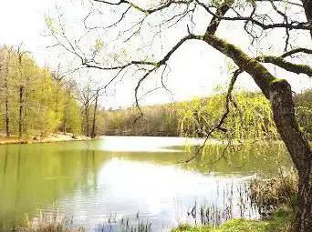 Photo de Netzbachweiher