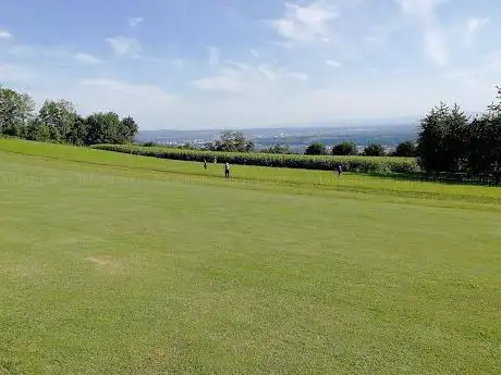Swin-Golf