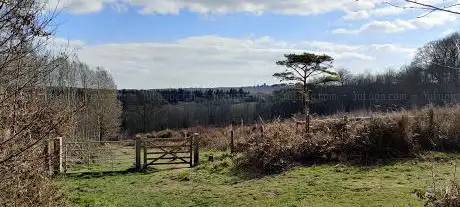 Photo de Cinderhill Wood and Nature Reserve