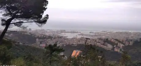 Peralto