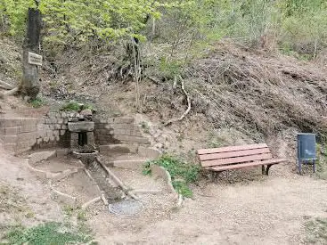 Source du Halsberg
