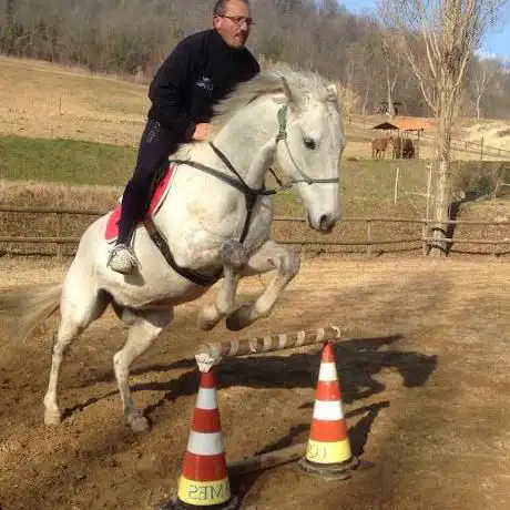 Horse Resort Cavaglià Bitless Center