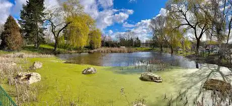 Photo de Parc Municipal Maurice Leluc