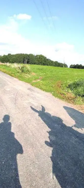 L'Ane de gouttière