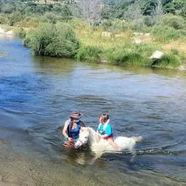 FILIT'HORSE