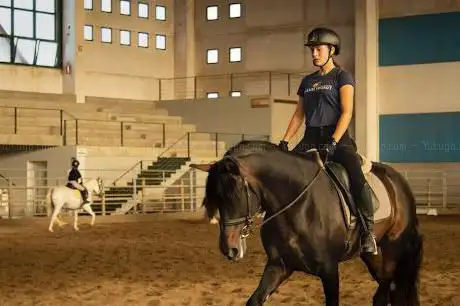 Photo de SCUOLA ITALIANA DI EQUITAZIONE CLASSICA ASD