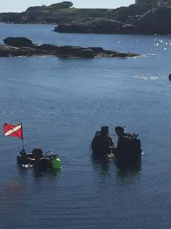 Photo de Dive On It Scuba