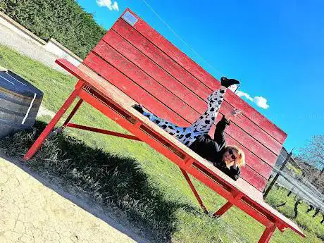 Panchina Gigante Rossa
