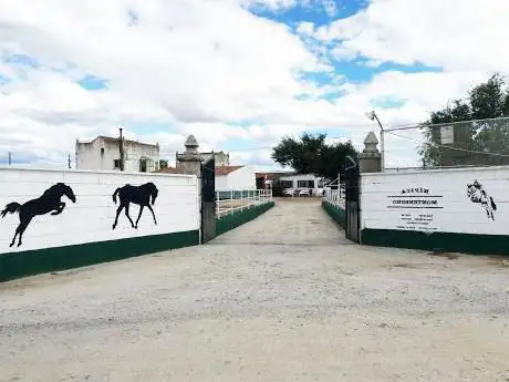 Photo de Asociación Equitación como Terapia