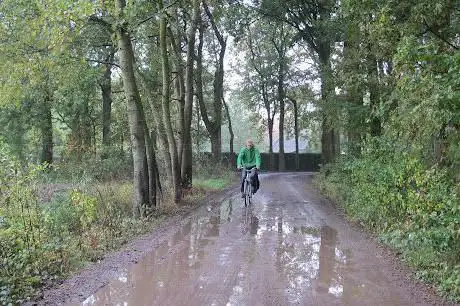 Bogaertsheide-Nete-Gestelpad