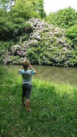 Kempens Landschap - Speelbergenbos