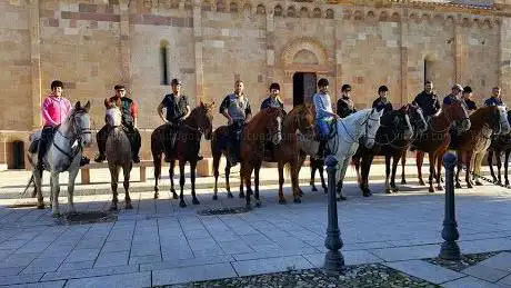 Centro Ippico S'Arcireddu