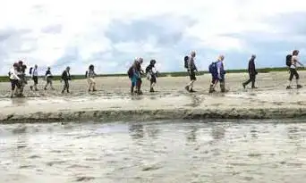 Sortie en Baie de Somme