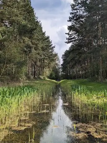Messingham Sand Quarry Nature Reserve