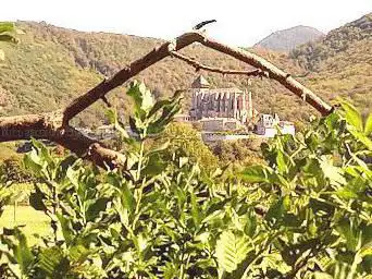 Photo de Jardin Aromatique Romain