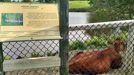 Photo de Two Rivers Wildlife Park