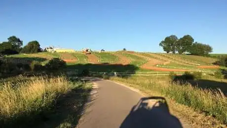 Motocross Gesves