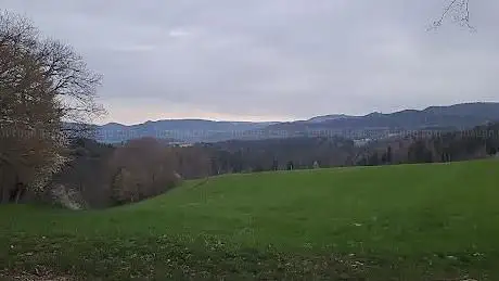 Feuerstelle Roderisweid