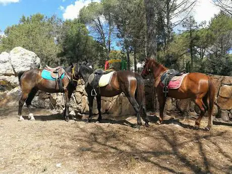 Maneggio Cala Ginepro