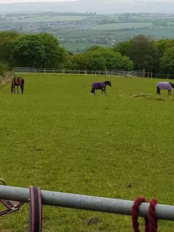 Photo de Stone Hall Farm Equestrian Stables