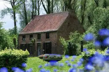 Van Gogh House