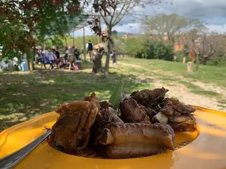 piandellacreta_anthaia