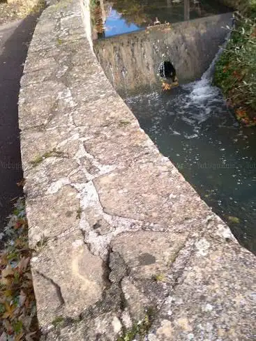 Jardin des thermes