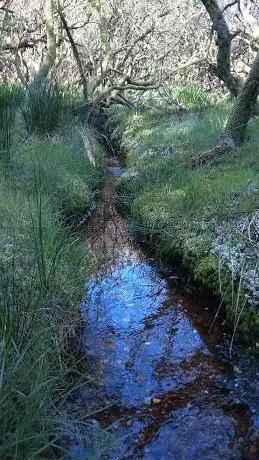 Tresayes Geological Nature Reserve