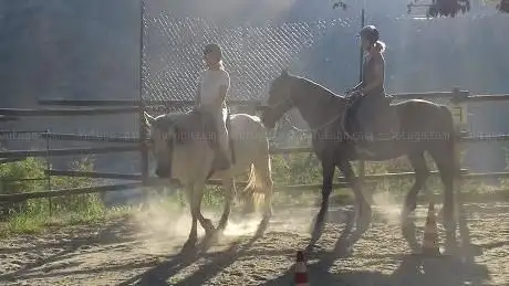 Dalla parte del cavallo
