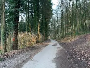 Akenerbos