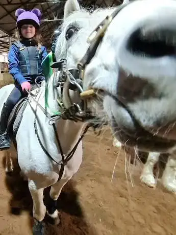 Photo de Fergushill Riding Stables