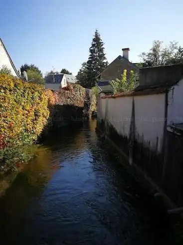 Photo de Galerie Rive Mauve