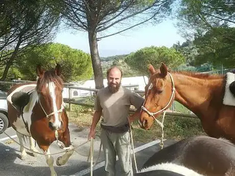 Aquila Nera Horses