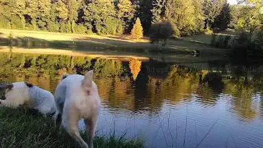 Photo de Etang PicNic
