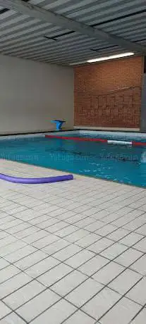 Schwimmschule wasser-ratte.ch