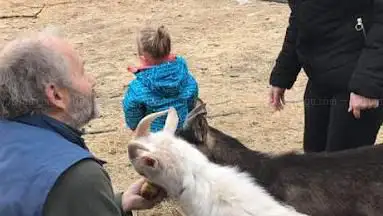 ferme pedagogique Animo Happy