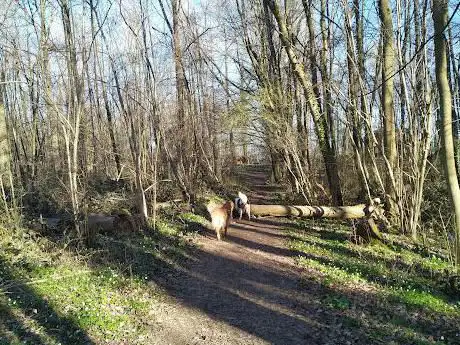 Start wandeling Nietelbroeken
