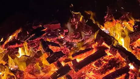 ForĂȘt du slenderstound