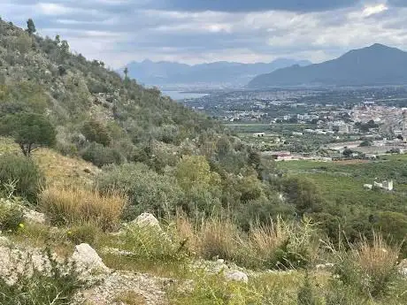 Photo de Cavallo di mezzo