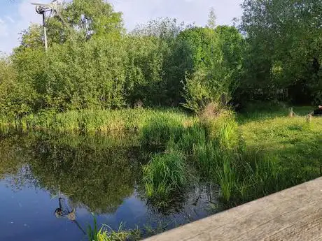 Photo de The Lovely Lake
