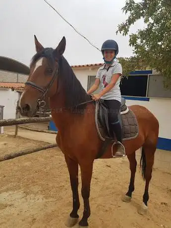Equestrian - Horse Riding Albufeira