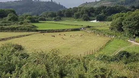 Photo de Sistema Joulagua