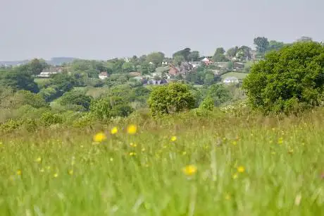 Barrington Hill Meadows